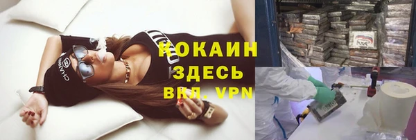 эйфоретик Аркадак