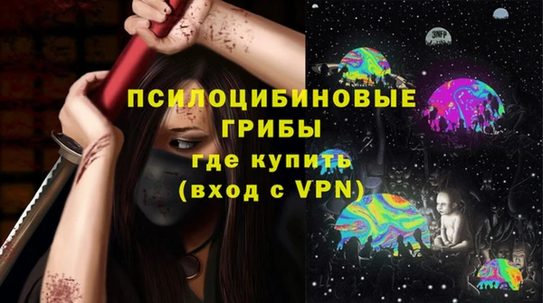 дживик Арсеньев