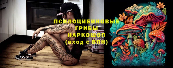 дживик Арсеньев